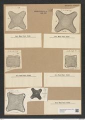 Amphitetras antediluviana Ehr. (de-Toni-Nr.: Genus 137, Species 3602) Zeichnungen Sammlung Grunow Nr. 7092 (NHMW-BOT-W0376045)